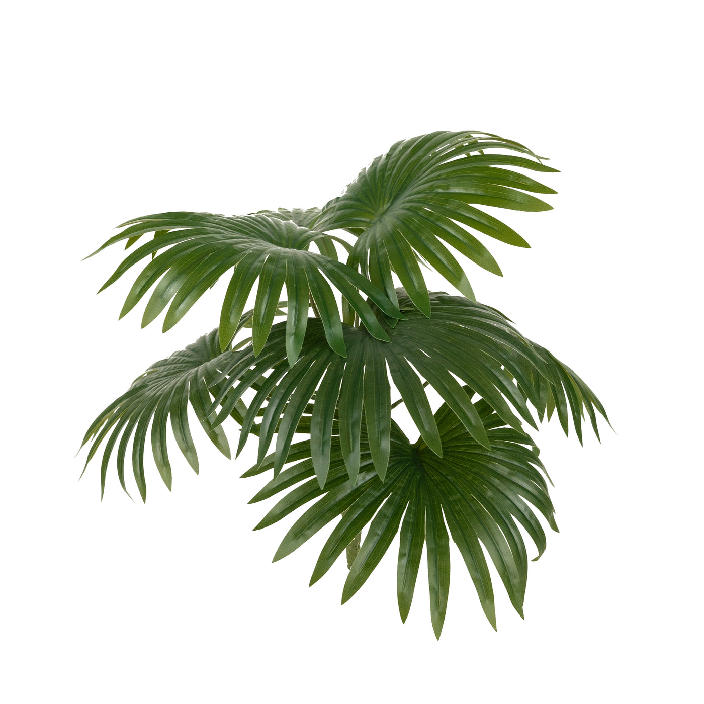 Palm artificial H50cm Chamaerops humilis cu 7 frunze