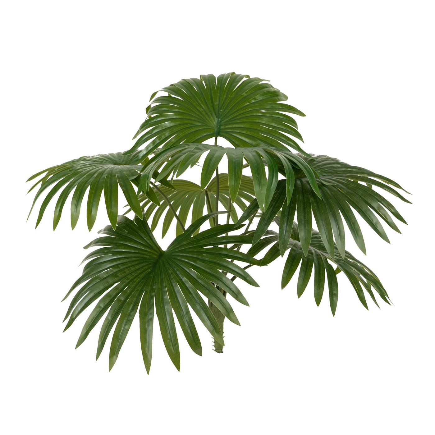 Palm artificial H50cm Chamaerops humilis cu 7 frunze