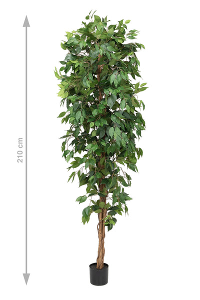 Copac artificial H210cm Ficus cu 3 trunchiuri, 1638 frunze