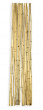 Bambus D1.6 - 1.79cm lungime 180cm