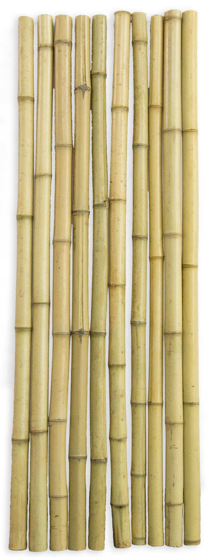 Bambus D3.0 - 3.29cm lungime 100cm