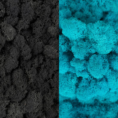 Licheni curatati si fara radacina in 2 culori 500g NET, calitate ULTRA PREMIUM, negru RR22 cu