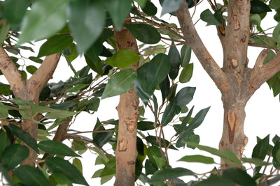 Bonsai artificial H180cm Ficus microcarpa cu 2880 frunze, Coroana W110cm