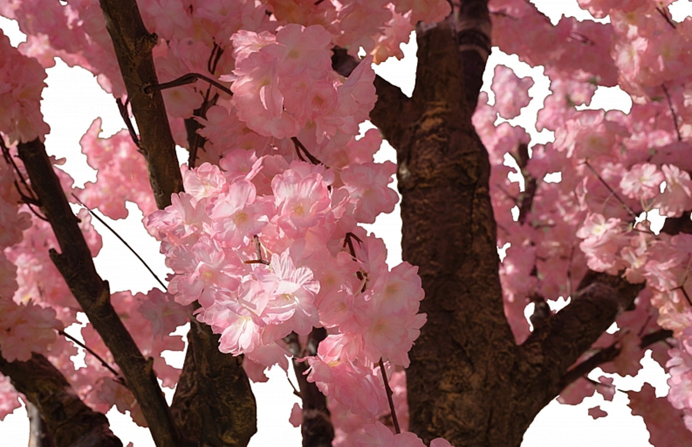 Copac artificial H250cm Cires cu flori roz deschis, coroana D250cm