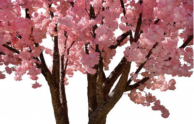 Copac artificial H350cm Cires cu flori roz deschis, coroana D350cm