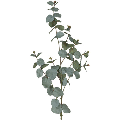 Crenguta de Eucalypt 87 cm verde