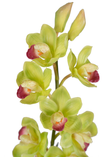 Orhidee artificiala Cymbidium galben H90 cm