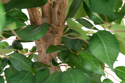 Copac artificial H120cm Ficus linea cu 1080 frunze