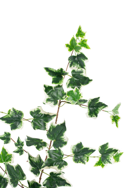 Iedera artificiala H170cm cu 110 frunze verde cu alb