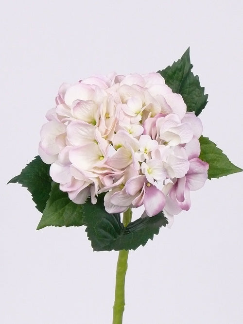 Hortensie artificiala alb cu roz D15xH48 cm