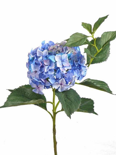Hortensie artificiala albastra D22xH105 cm