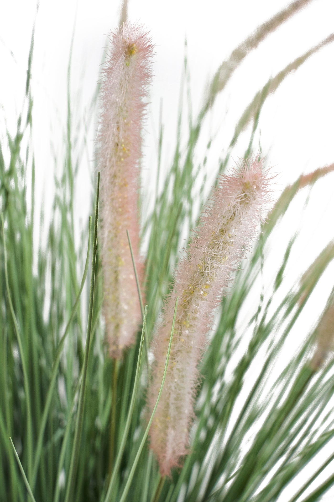 Iarba artificiala foxtail verde de primavara cu 18 flori albe H100cm