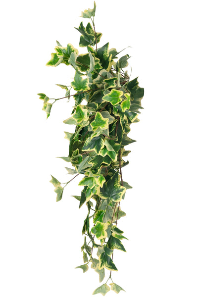 Iedera artificiala H70cm cu 202 frunze verde cu galben