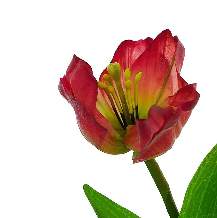 Lalea artificiala burgundy D6xH33 HO
