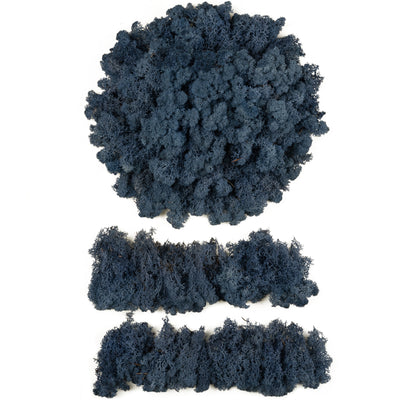 Licheni conservati cu radacina 500 g albastru, 10 cutii acopera 1 mp
