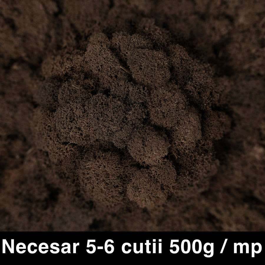 Licheni curatati si fara radacina conservati 500g NET. calitate ULTRA PREMIUM. maro RR24