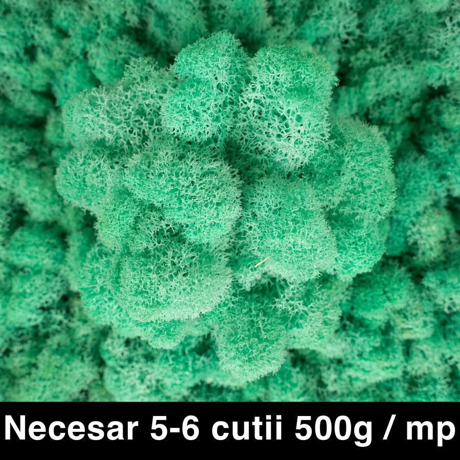 Licheni curatati si fara radacina conservati 500g NET. calitate ULTRA PREMIUM. turcoaz RR43