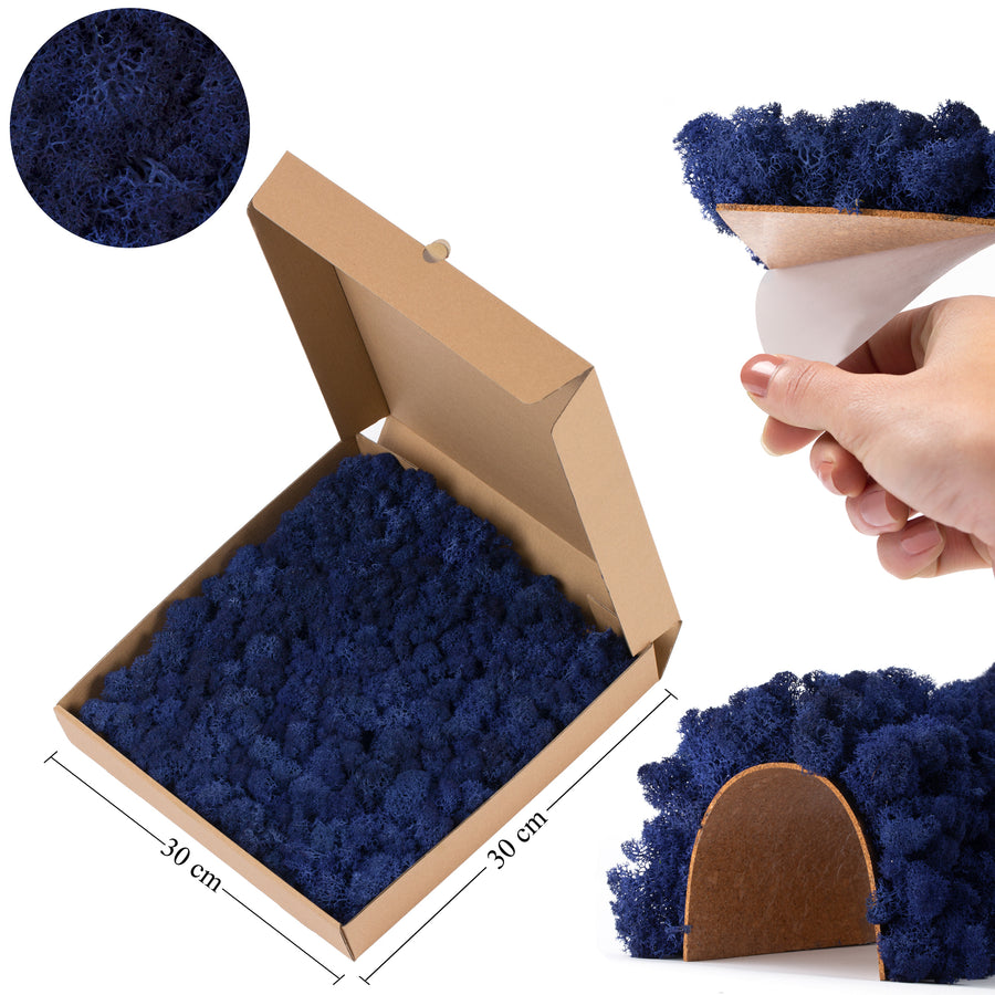 Licheni stabilizati panou 30x30 cm albstru cobalt. gata lipiti RR15D