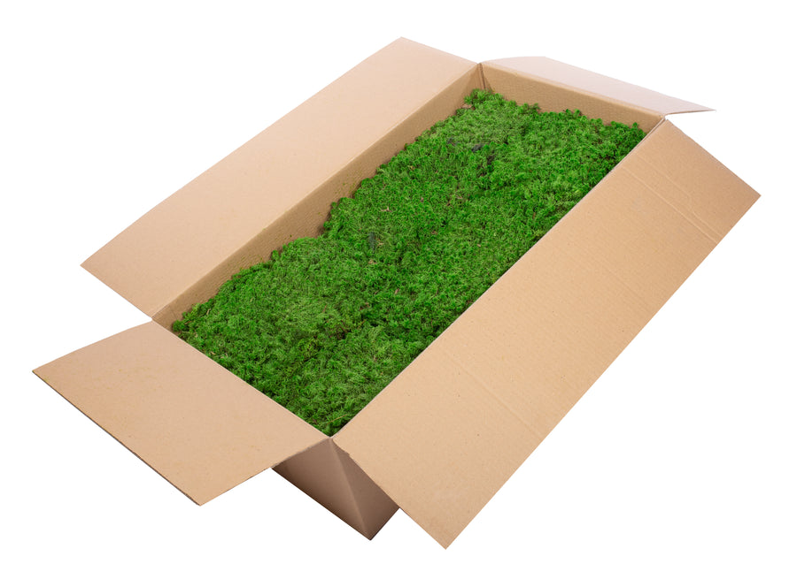 Muschi stabilizati Sphagnum 2 kg verde inchis. forma plata. acopera 1.6 mp