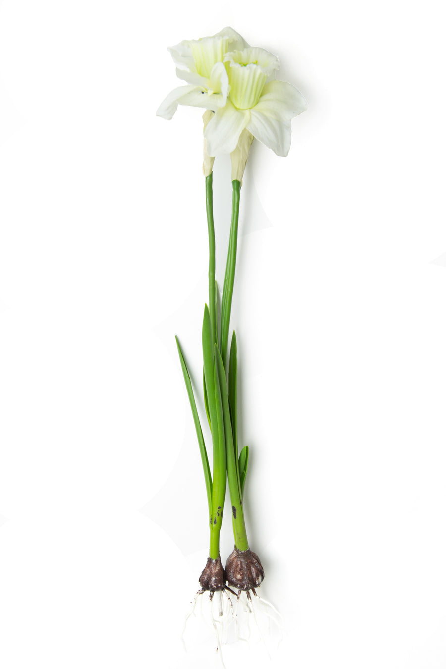 Narcisa artificiala alba cu bulb H40 cm