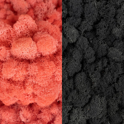 Licheni curatati si fara radacina in 2 culori 500g NET, calitate ULTRA PREMIUM, roz corai RR32 cu