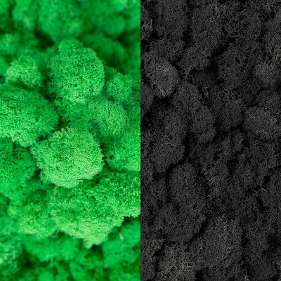 Licheni curatati si fara radacina in 2 culori 500g NET, calitate ULTRA PREMIUM, verde island RR36 cu