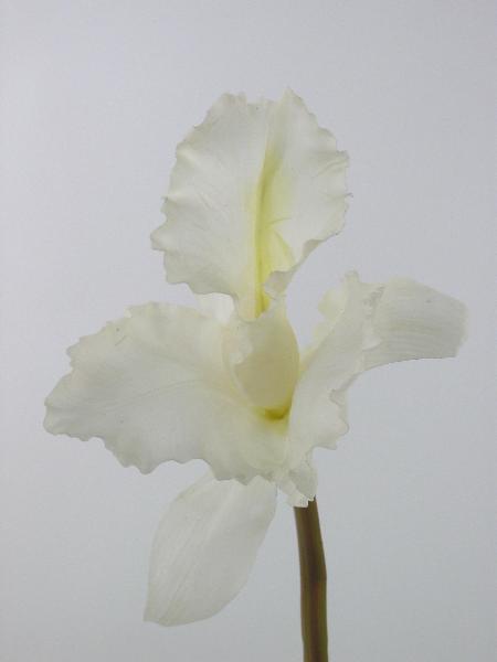 Orhidee artificiala alba Cathlea D8xH32 cm HO