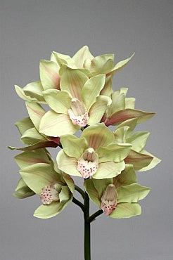 Orhidee artificiala verde Cymbidium D10xH57 cm HO