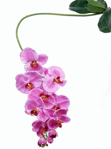 Orhidee artificiala roz Phalaenopsis H105 cm