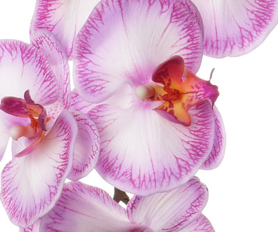 Orhidee artificiala roz Phalaenopsis D12x11x6xH102 cm