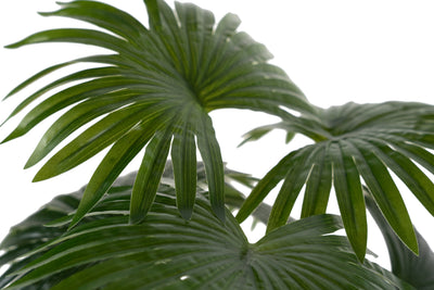 Palm artificial H50cm Chamaerops humilis cu 9 frunze