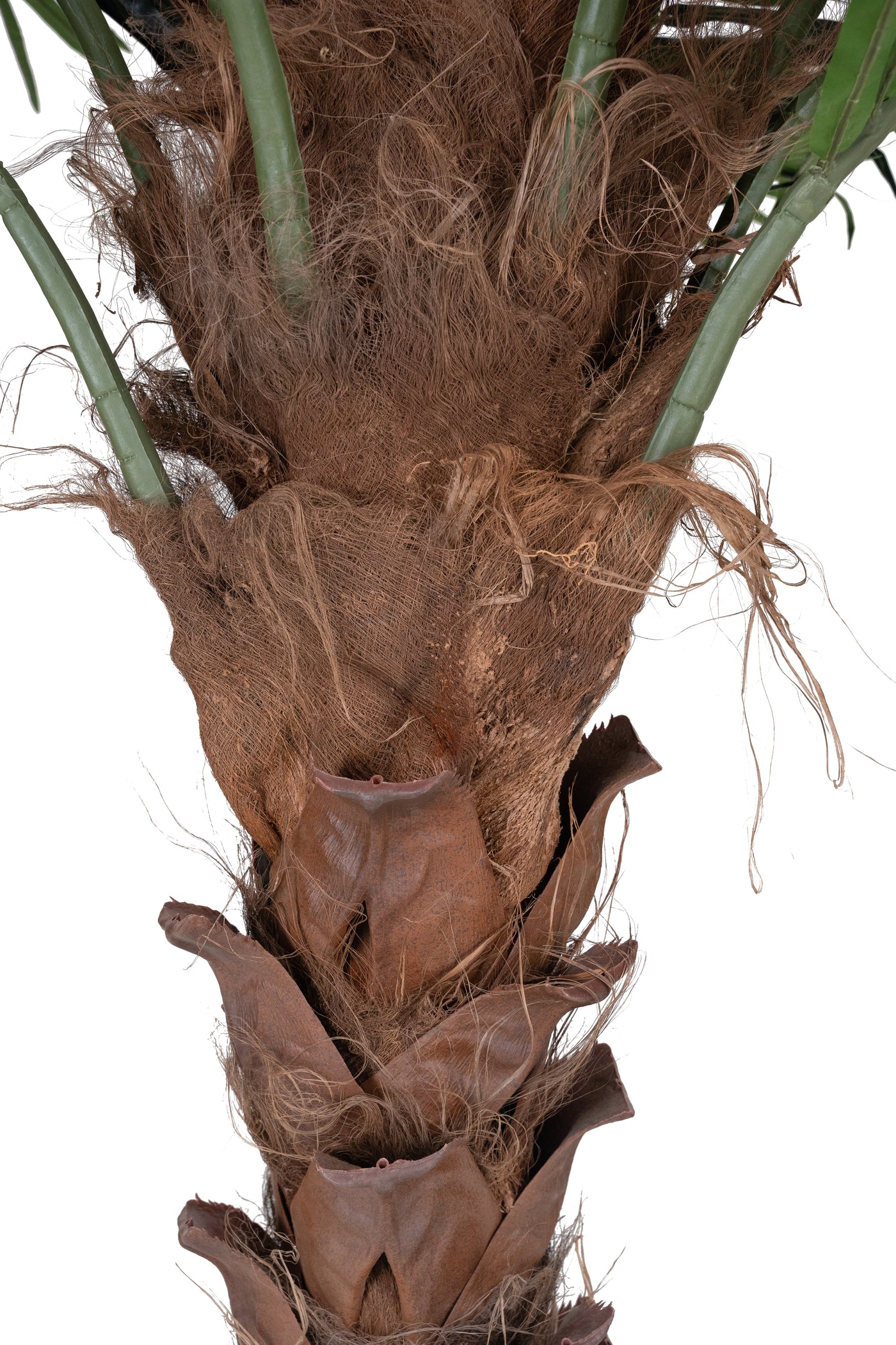 Palm artificial H240cm Phoenix exotic cu trunchi natural, coroana D300cm cu protectie UV