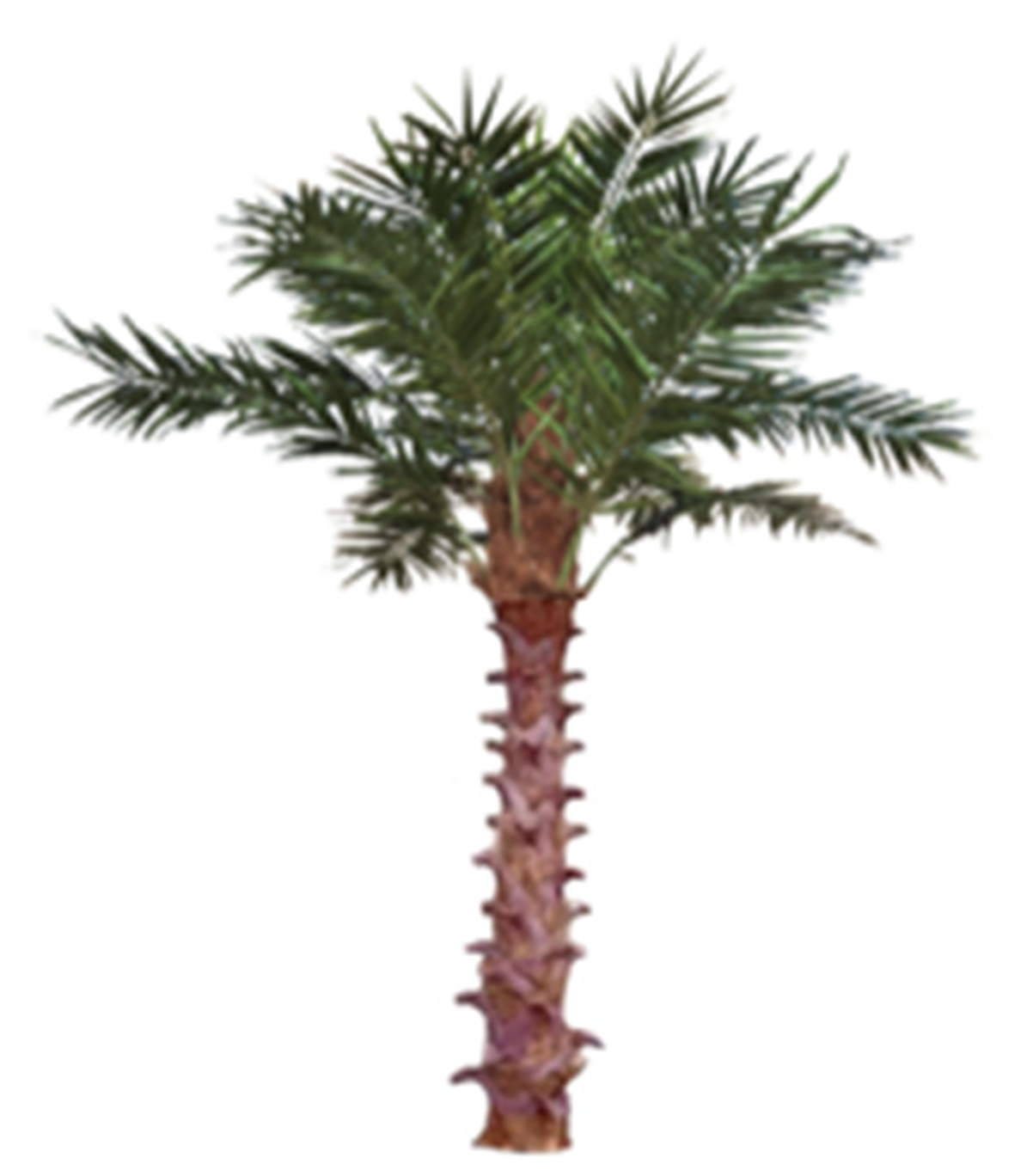 Palm artificial H350cm Phoenix exotic, coroana D350cm cu protectie UV