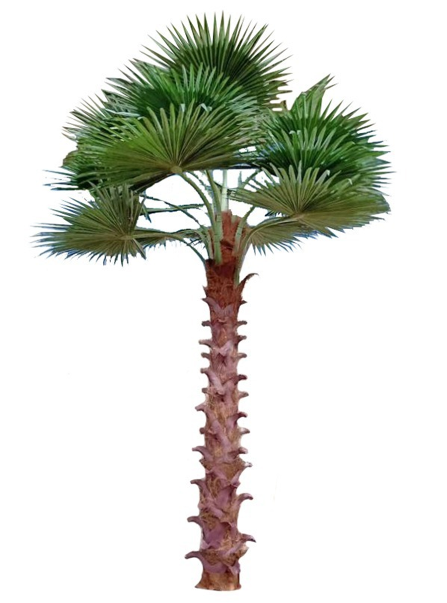 Palmier artificial H500cm Washingtonia. coroana D370cm cu protectie UV