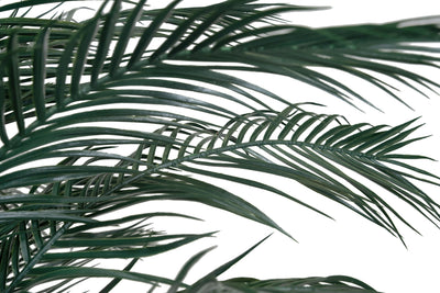 Palm artificial H230cm Phoenix roebelenii cu 30 frunze cu protectie UV