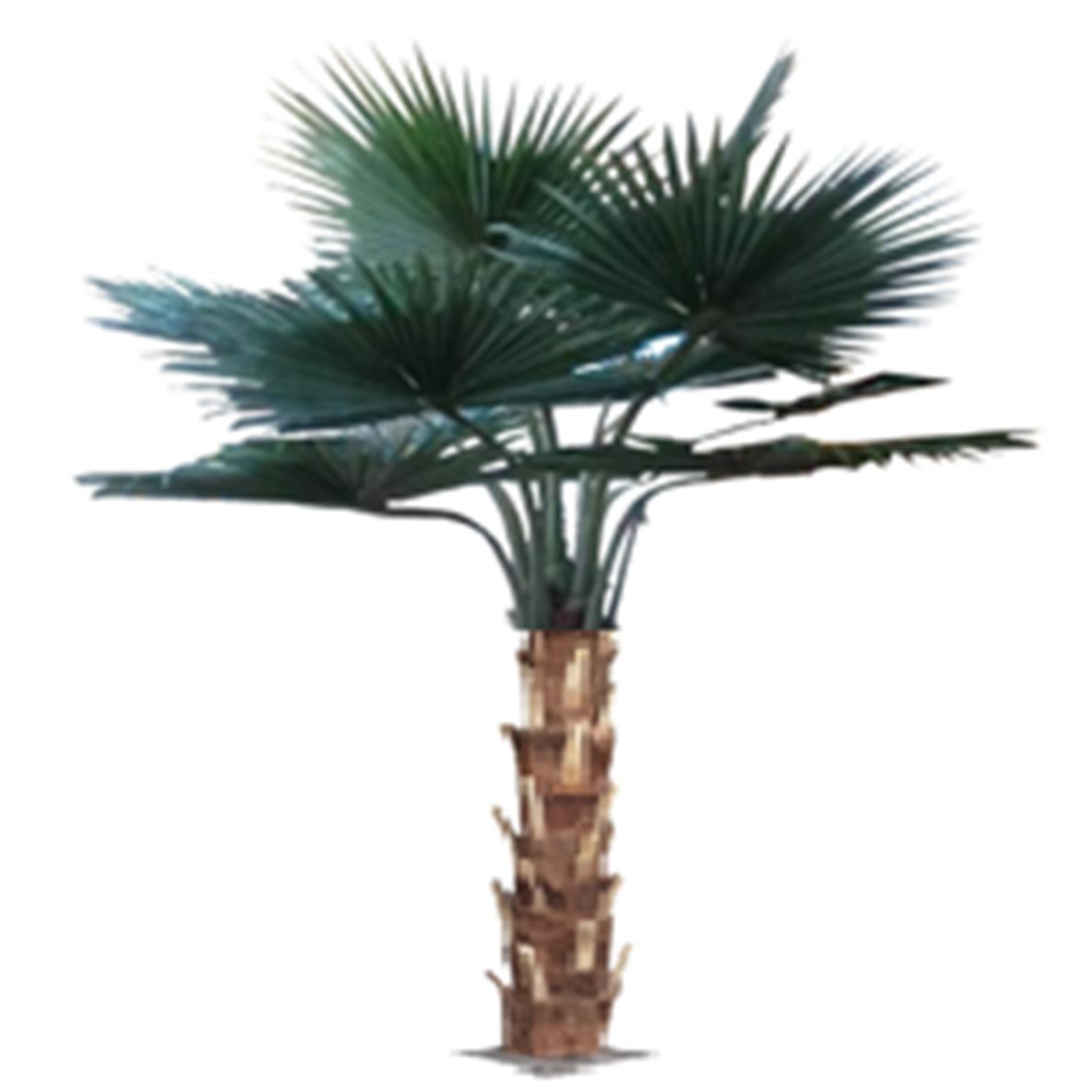 Palm artificial H200cm Washingtonia cu trunchi natural, coroana D300cm cu protectie UV
