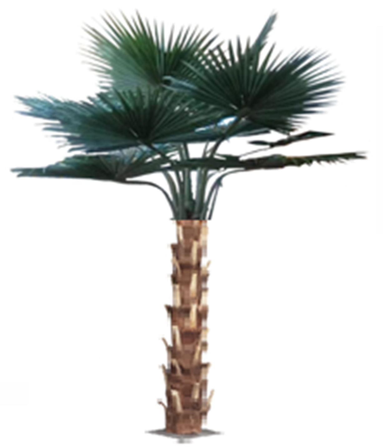 Palm artificial H300cm Washingtonia cu trunchi natural, coroana D300cm cu protectie UV