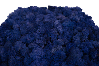 Licheni stabilizati panou 30x30 cm albastru purpuriu, gata lipiti