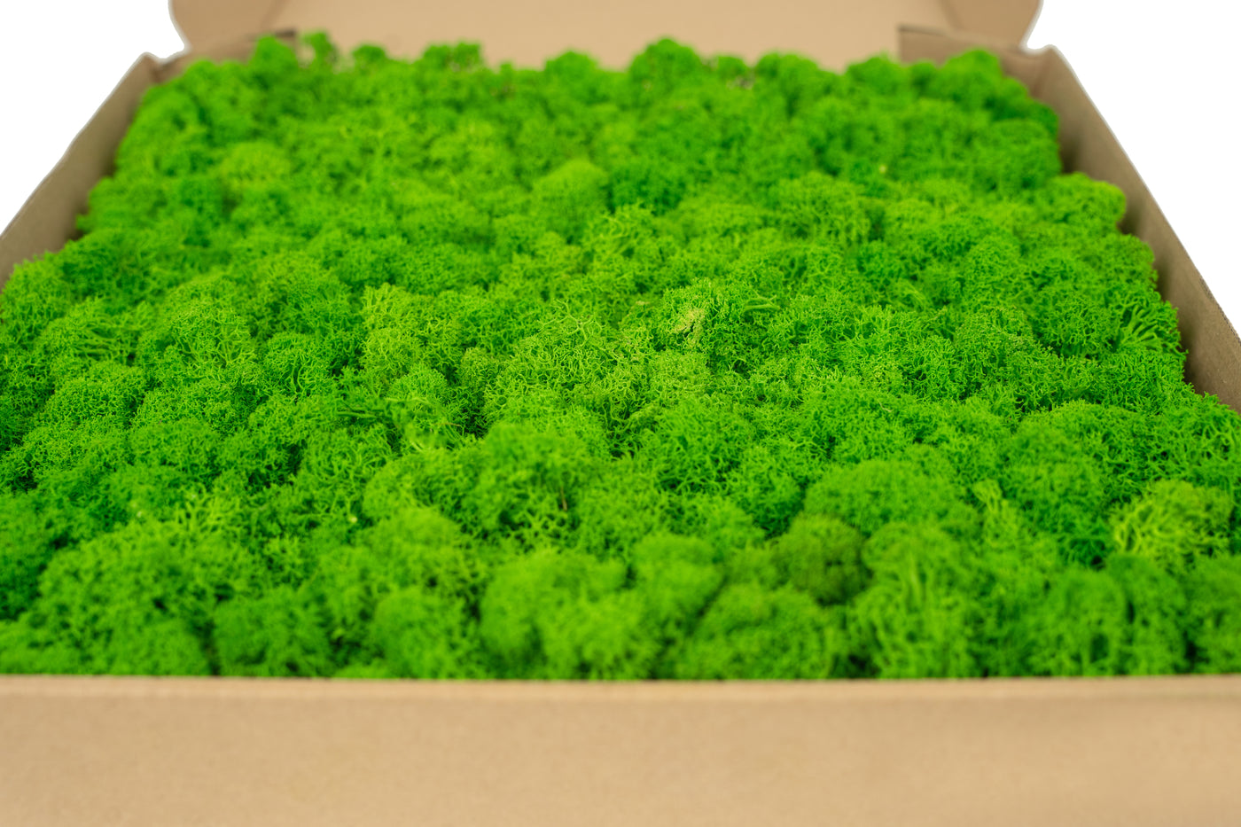 Licheni stabilizati panou 30x30 cm verde mat, gata lipiti
