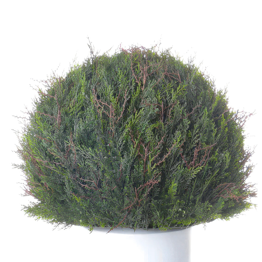 Planta artificiala Cedru D55 cm cu protectie UV