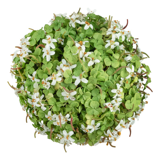 Planta artificiala in forma de sfera Macris D23 cm