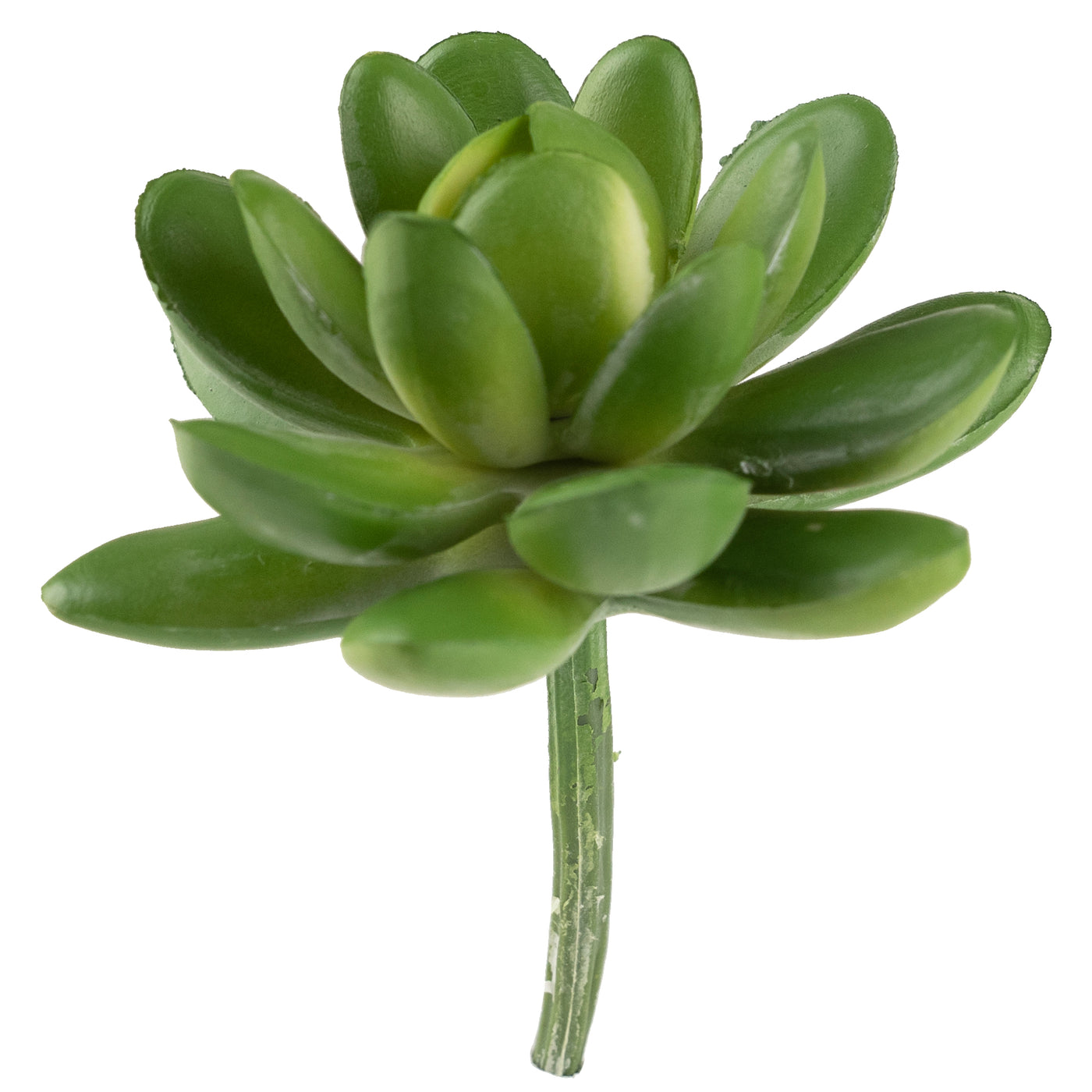 Planta artificiala suculenta model51