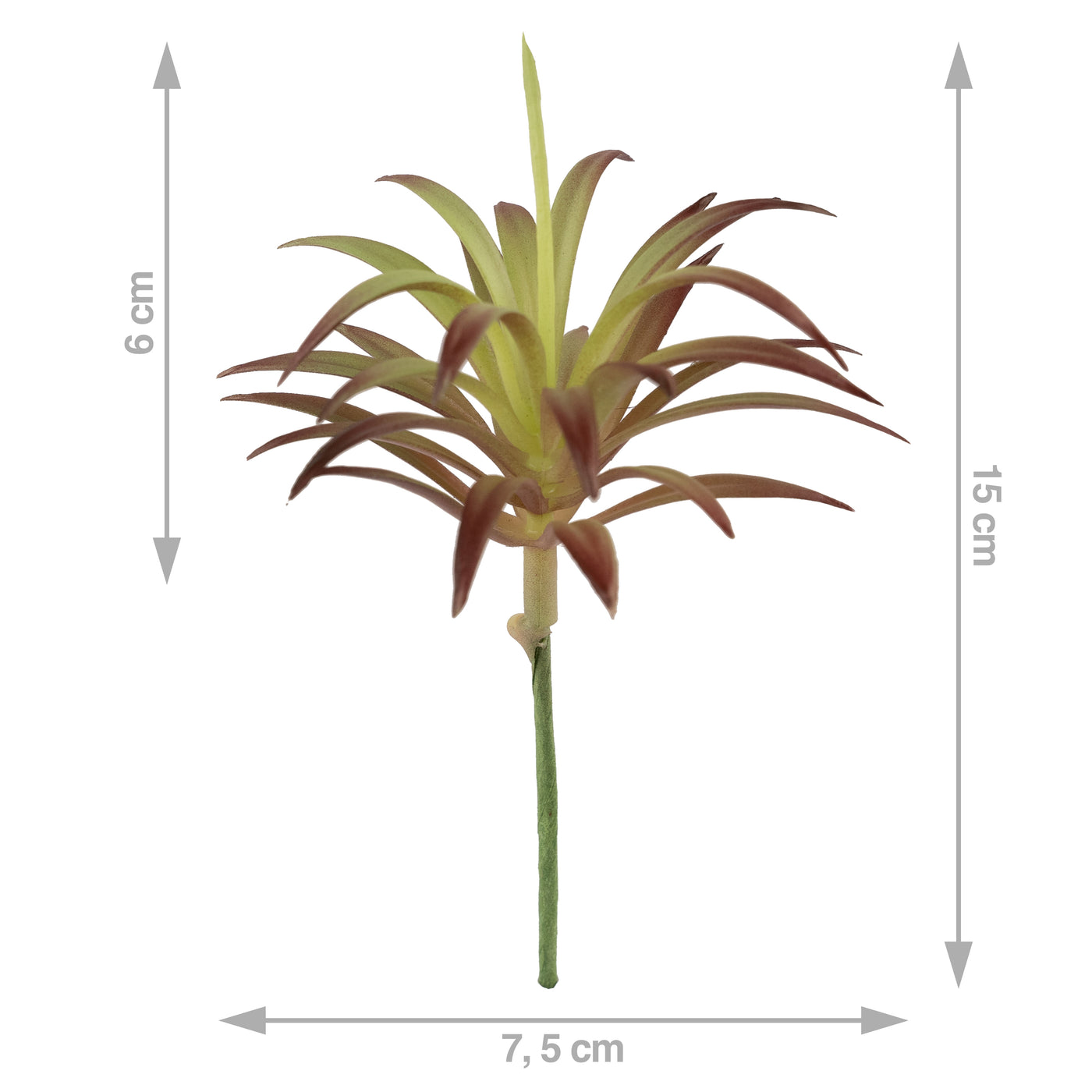 Planta artificiala suculenta model62