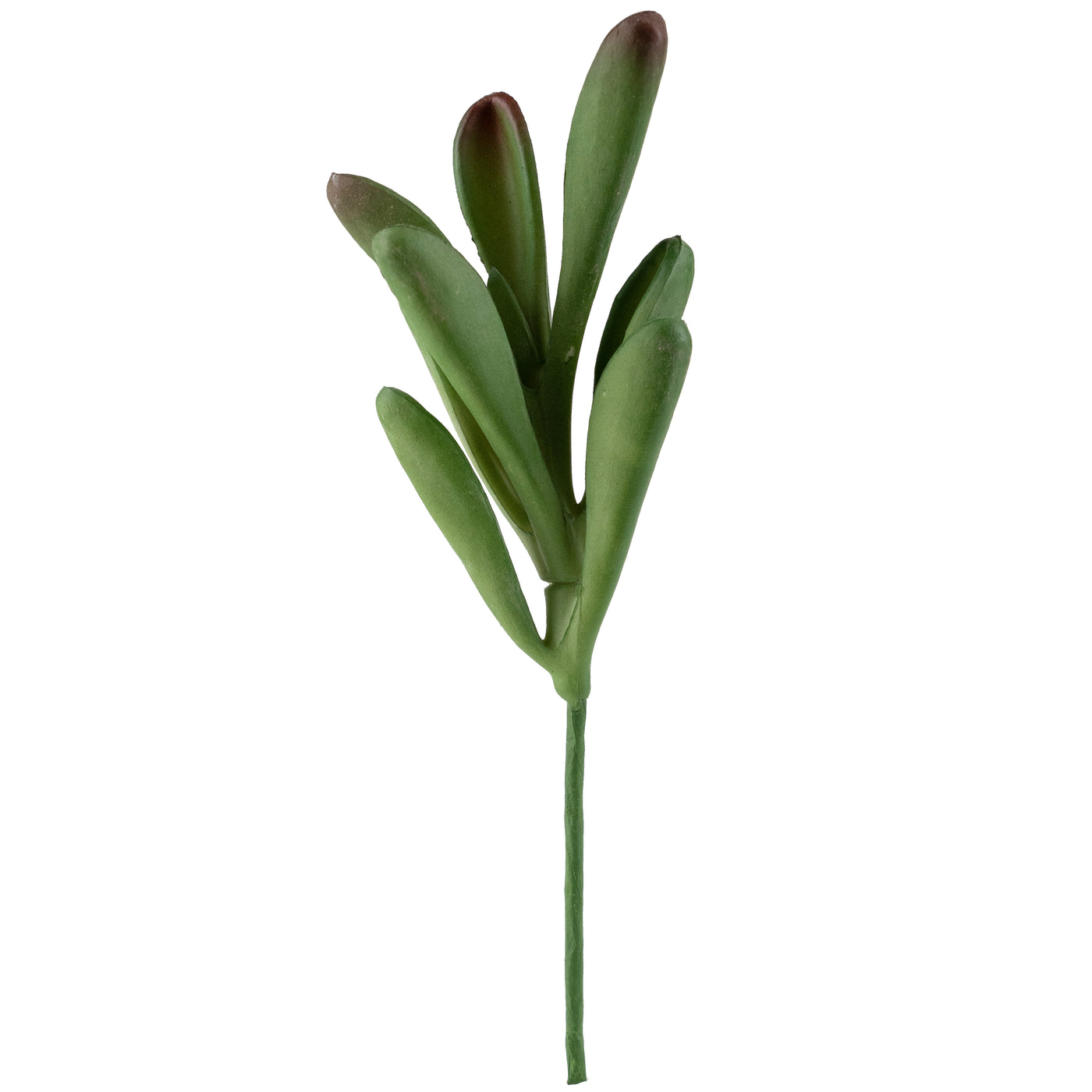 Planta artificiala suculenta model74