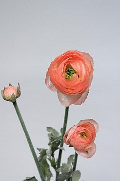 Ranunculus artificial roz-somon D4xH63 cm HO