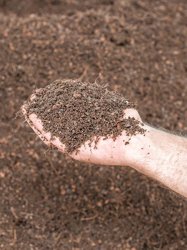Substrat pamant universal mixt fara turba pentru plante naturale 45 litri