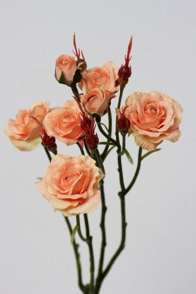 Trandafir artificial galben-piersica Dx4x2xH45 cm HO