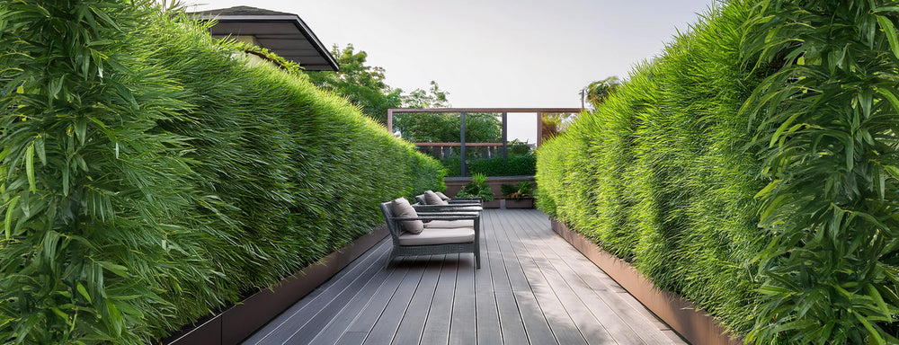 Gard viu din plante artificiale