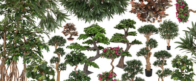 Bonsai artificiali