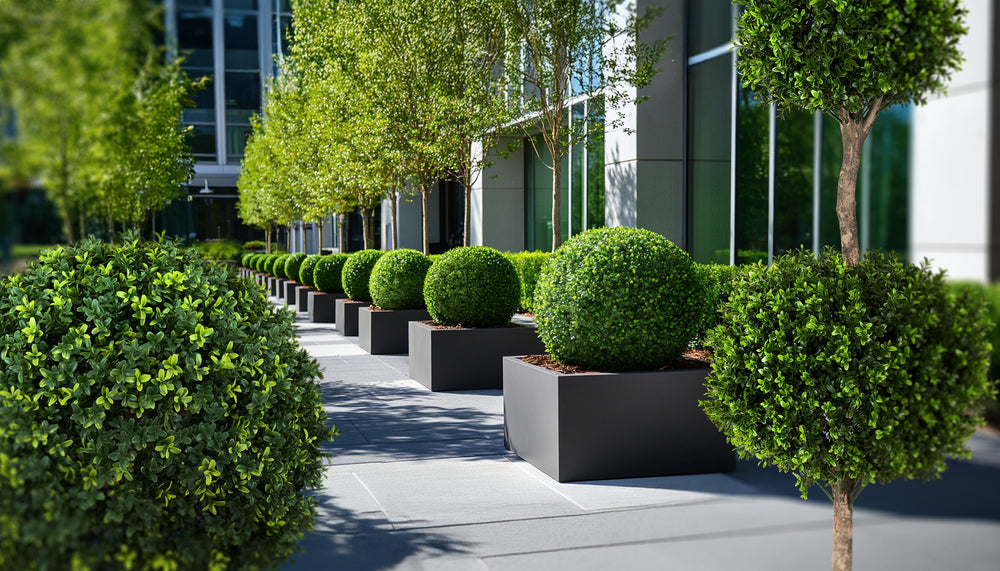 Buxus artificial